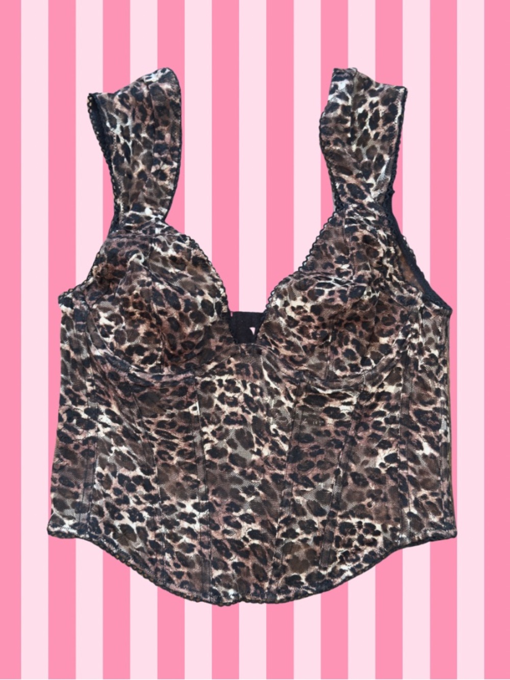 Urban Outfitters Leopard Print Corset Top